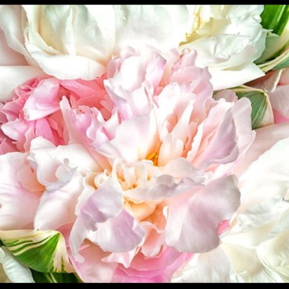 HEY HEY ✨ - Picture 2 of 3